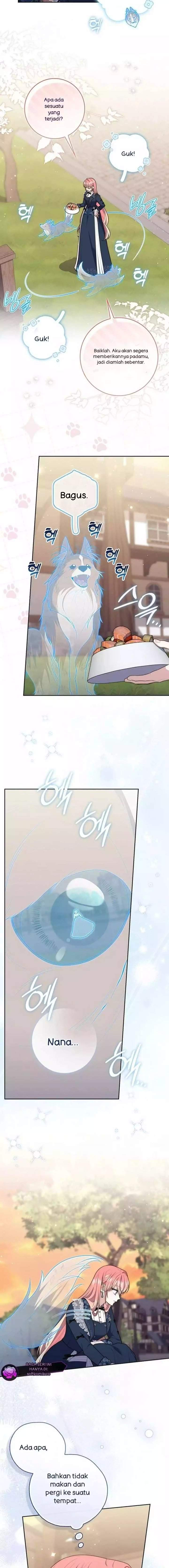A Princess Who Reads Fortune Chapter 145