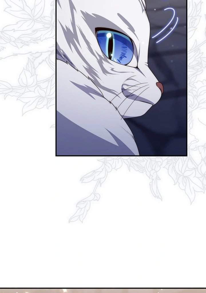 A Princess Who Reads Fortune Chapter 77