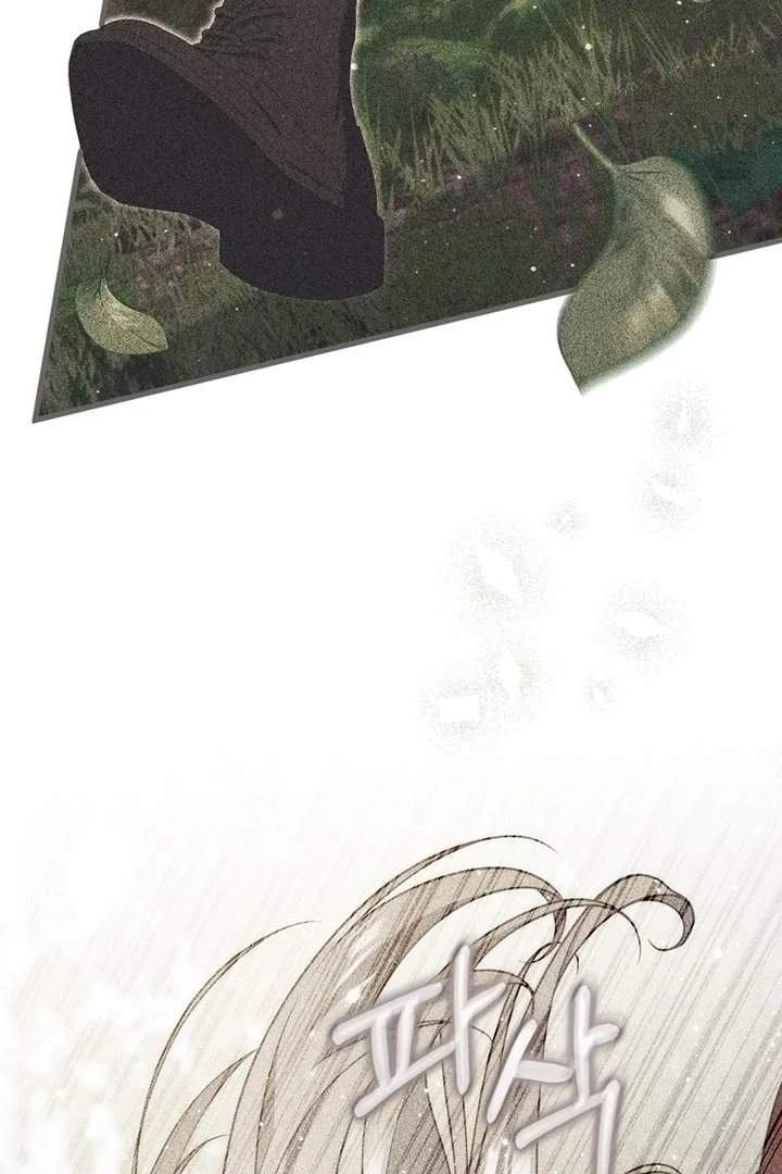 A Princess Who Reads Fortune Chapter 95