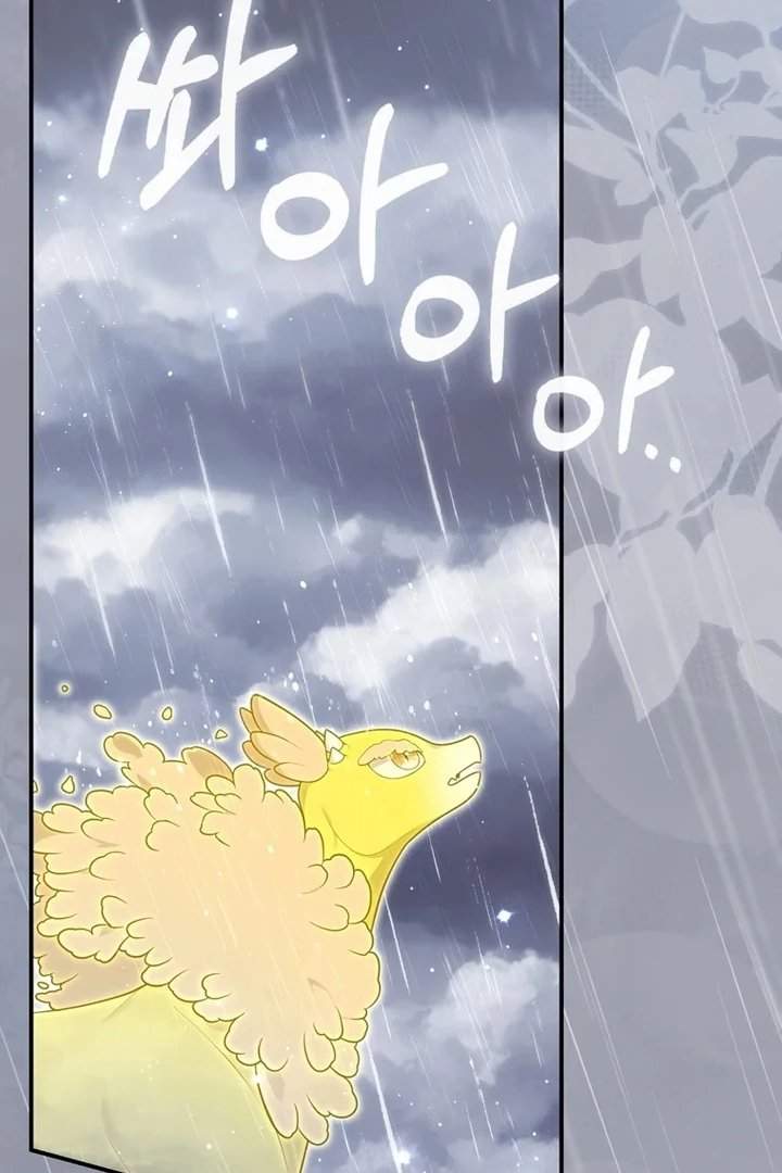 A Princess Who Reads Fortune Chapter 95