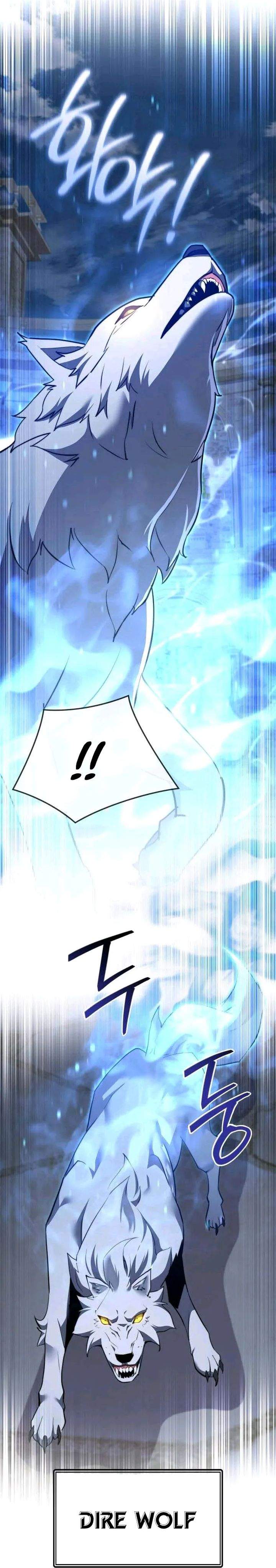 Genius Mage Who Uses Fists Chapter 66