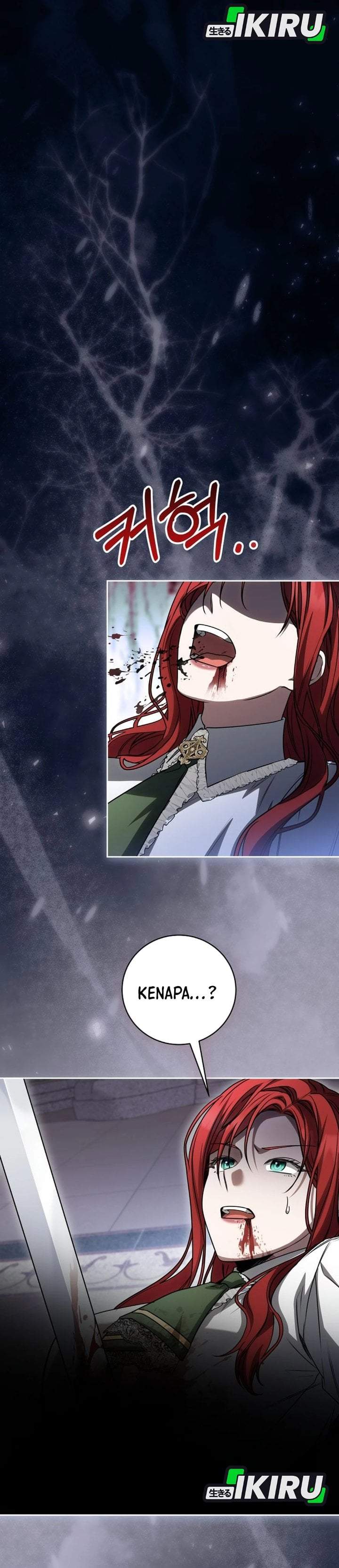 The Possessed Villainess Is Causing Trouble Chapter 29