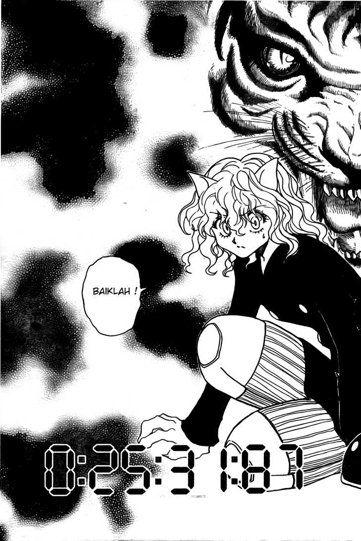Hunter x Hunter Chapter 295