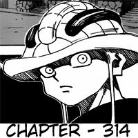 Hunter x Hunter Chapter 314