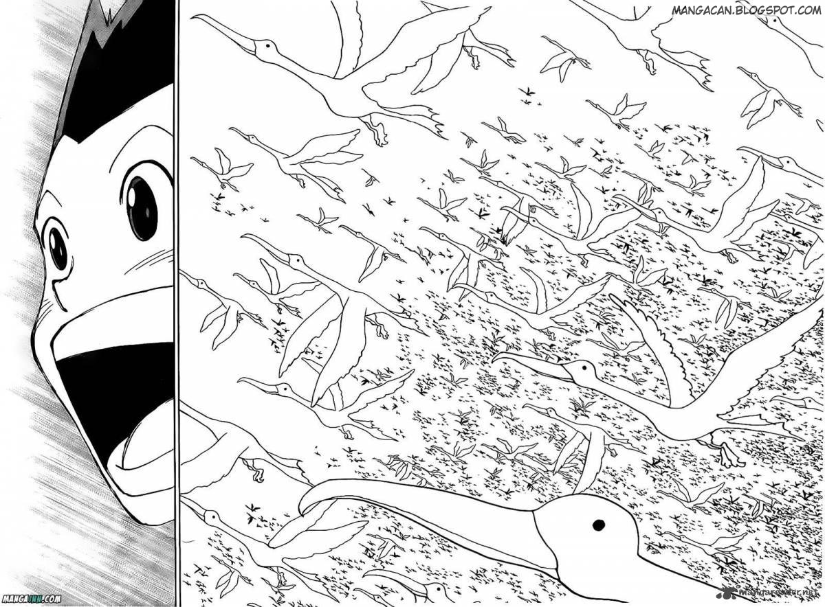 Hunter x Hunter Chapter 339