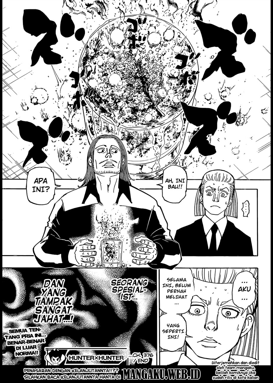 Hunter x Hunter Chapter 376