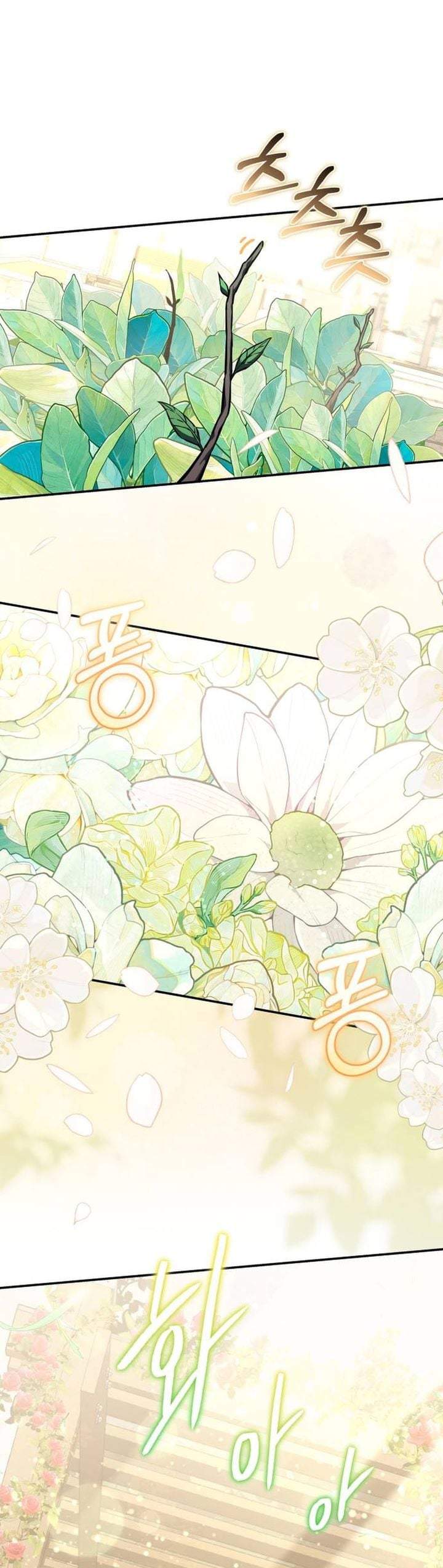 Healing With Deulbi Chapter 1