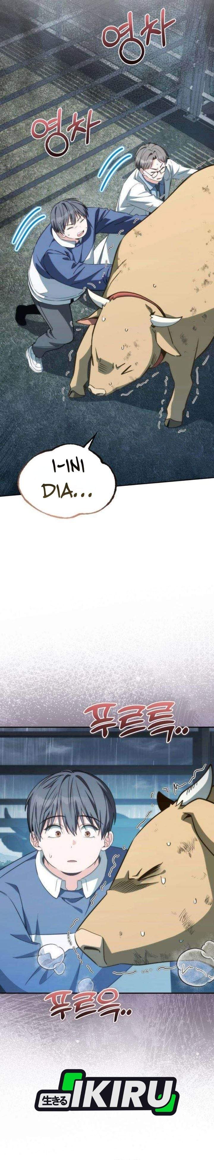 Healing With Deulbi Chapter 14