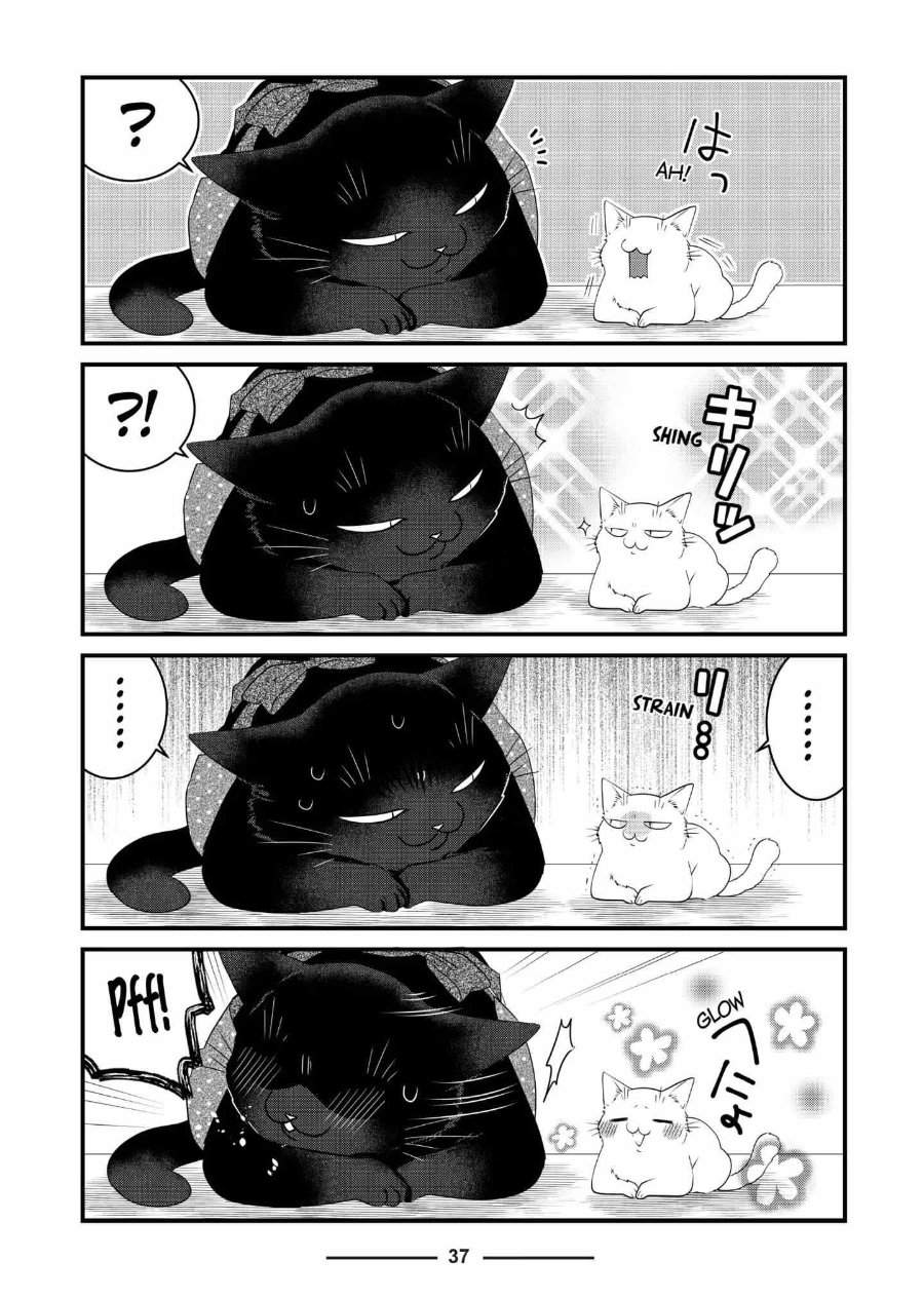The Masterful Cat Is Depressed Again Today Chapter 74