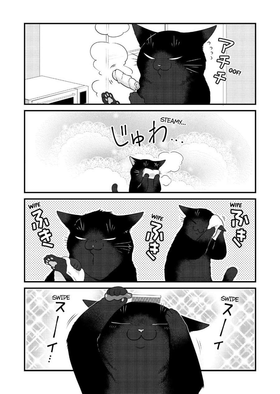 The Masterful Cat Is Depressed Again Today Chapter 75
