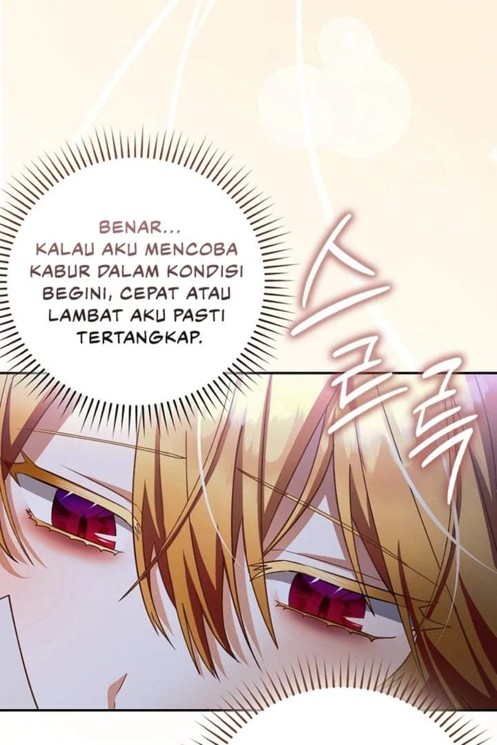 The Baby Fairy is a Villain Chapter 16
