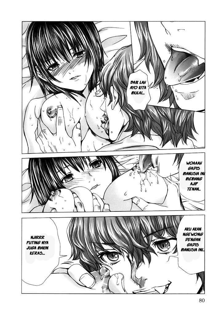 Holy Knight Chapter 4