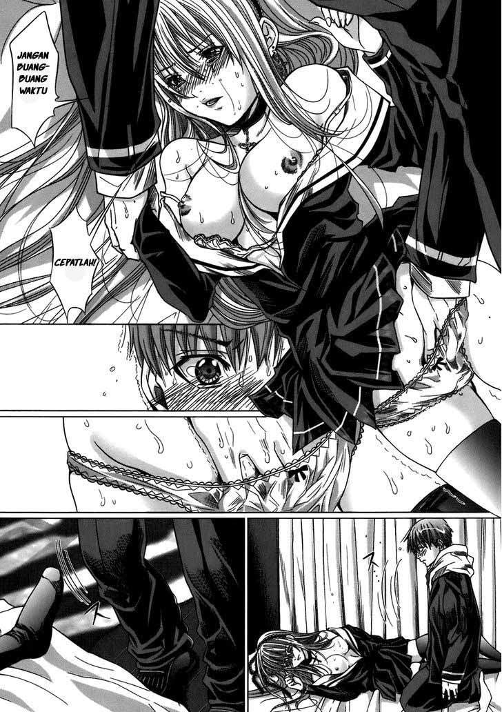 Holy Knight Chapter 5