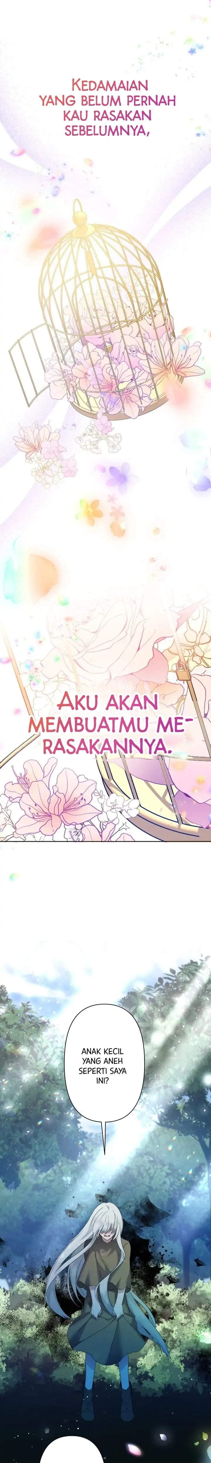 I Need to Raise My Sister Properly Chapter 8