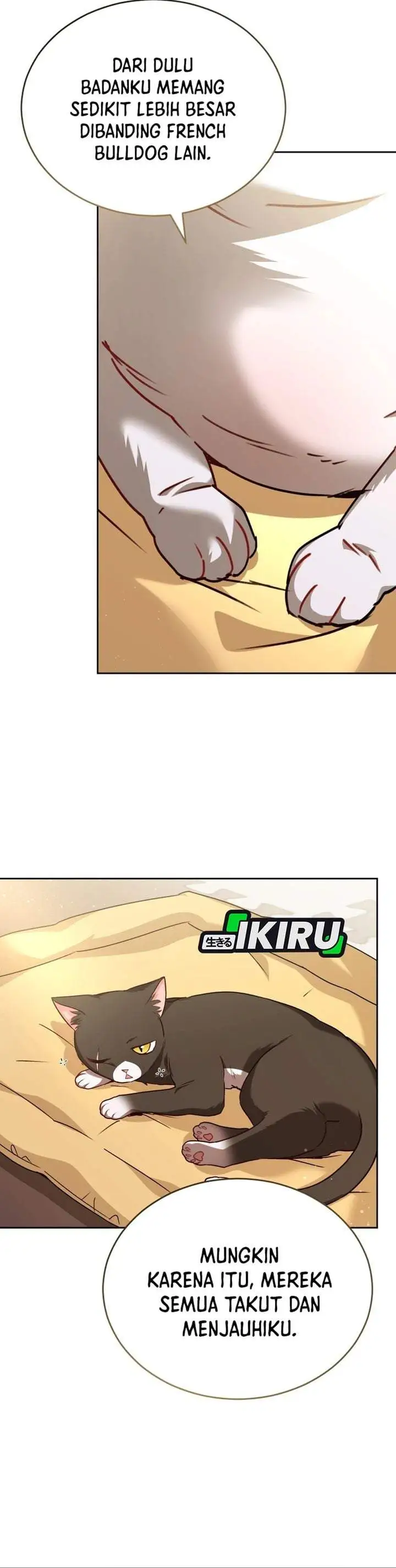 Hello? Veterinarian Chapter 141