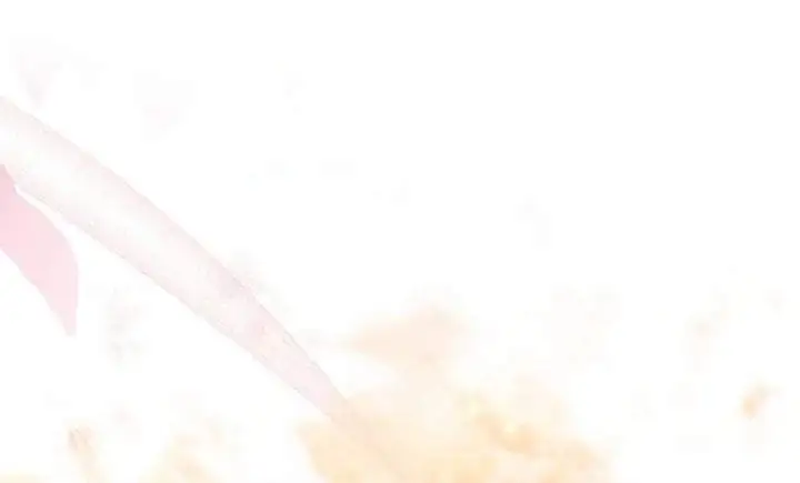 The Male Lead’s Little Lion Daughter Chapter 136