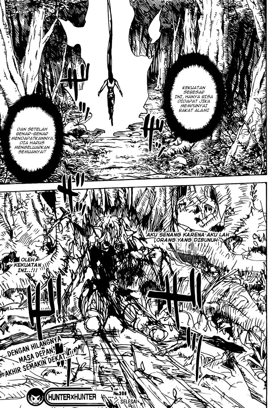 Hunter x Hunter Chapter 306