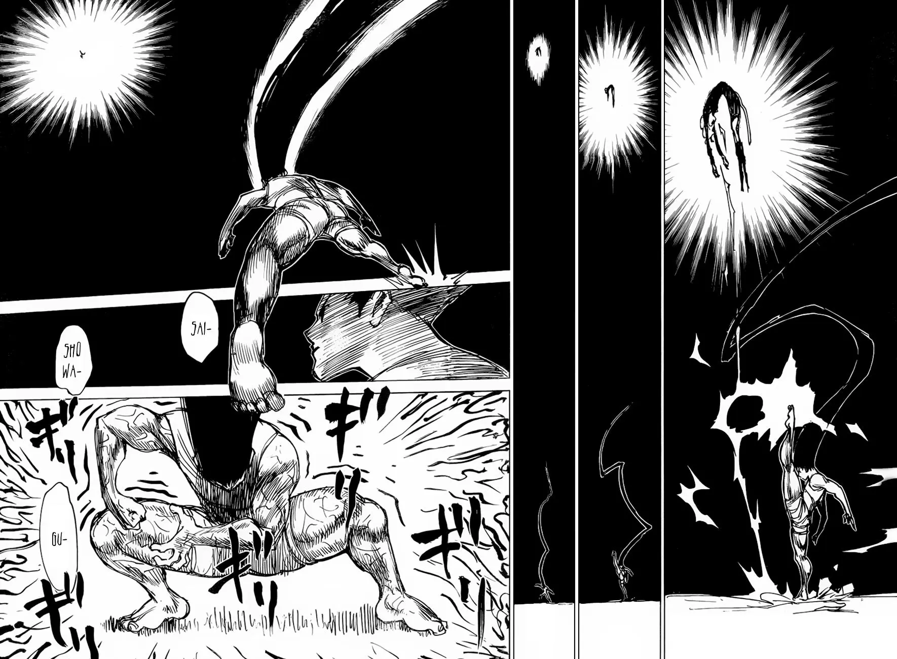 Hunter x Hunter Chapter 306