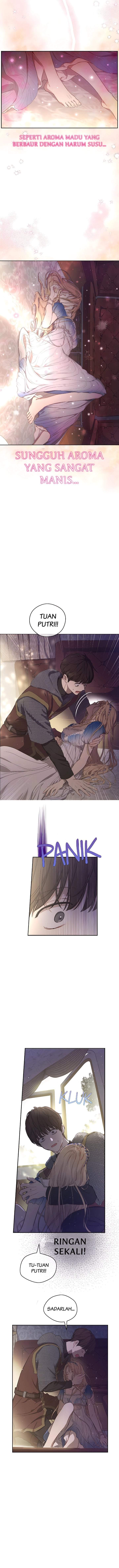 The Forgotten Field Chapter 25