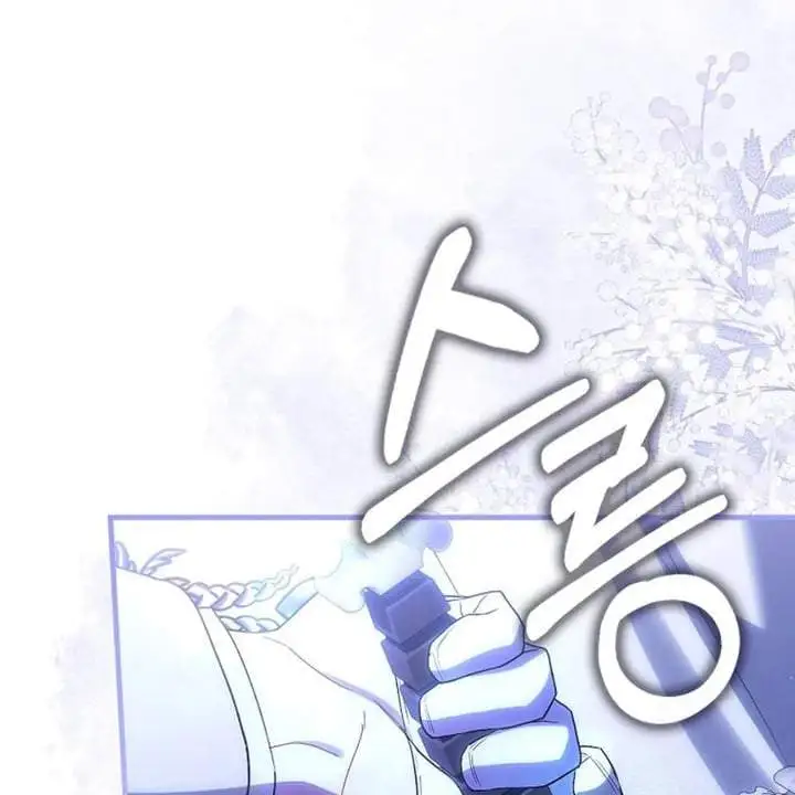 The Baby Fairy is a Villain Chapter 33