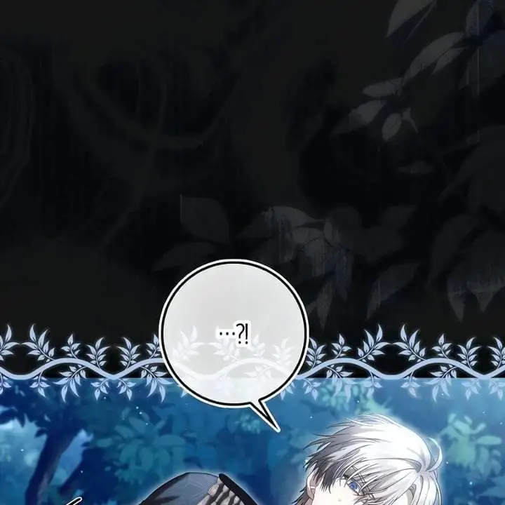The Baby Fairy is a Villain Chapter 35