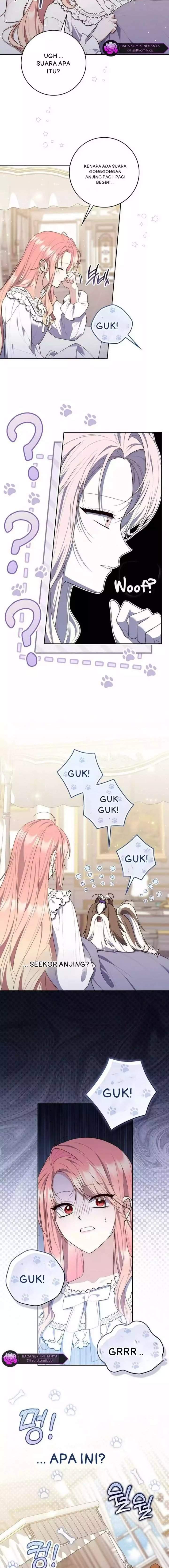 A Princess Who Reads Fortune Chapter 145
