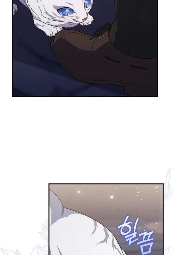 A Princess Who Reads Fortune Chapter 77