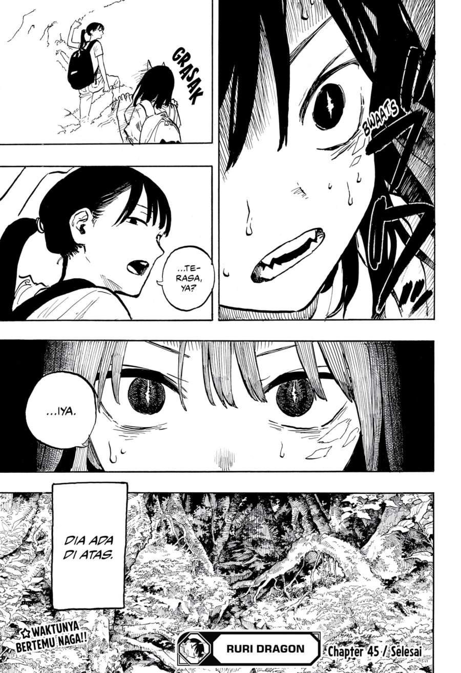 Ruri Dragon Chapter 45