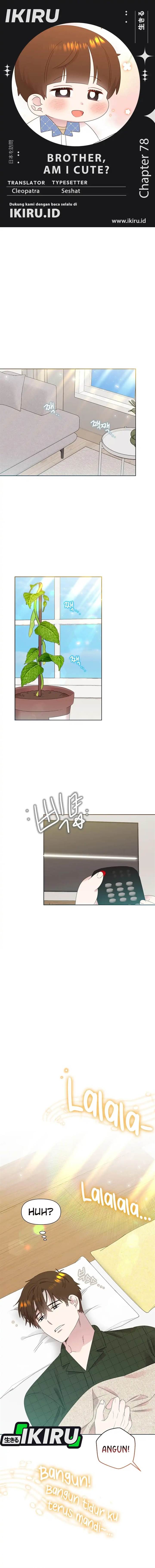 Brother, Am I Cute? Chapter 78
