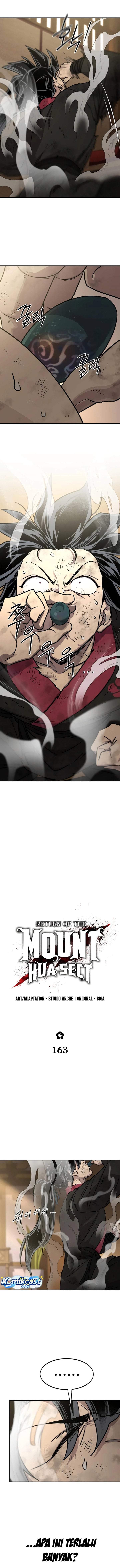 Return of the Flowery Mountain Sect Chapter 163