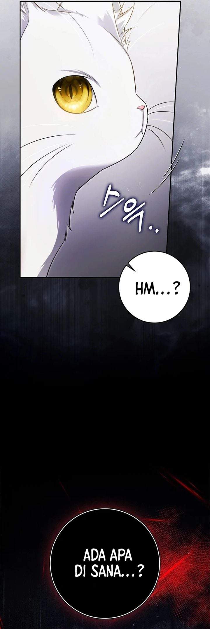 I Am the 5-Year-Old Spy Who Kidnapped the Villain Chapter 27