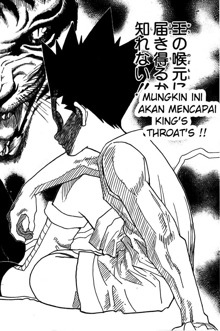 Hunter x Hunter Chapter 295