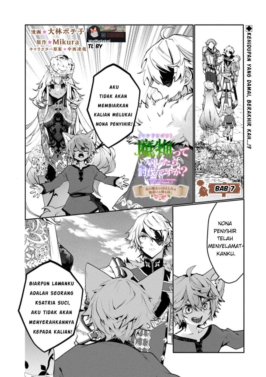 Mamono (Mandragora) tte Baretara Toubatsu desu ka? Chapter 7.1