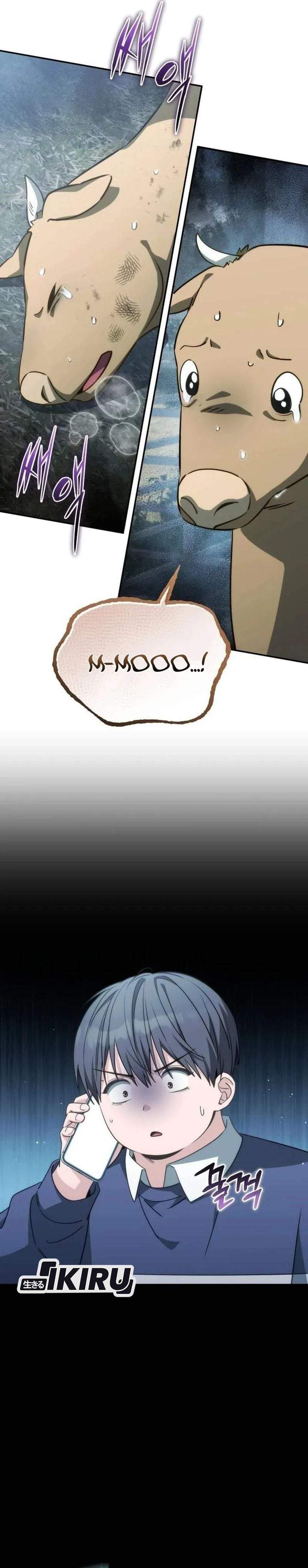 Healing With Deulbi Chapter 13
