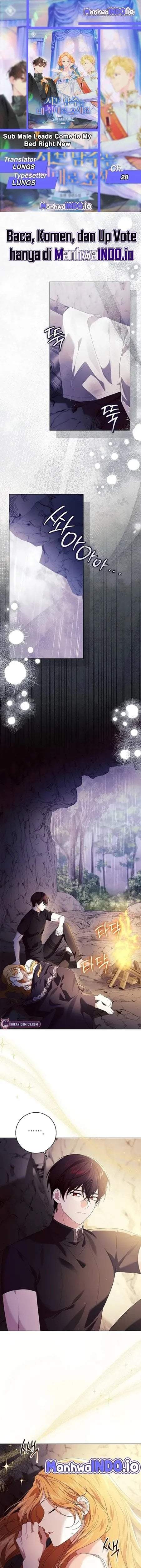 Get in My Bed, Supporting Male Leads! Chapter 28