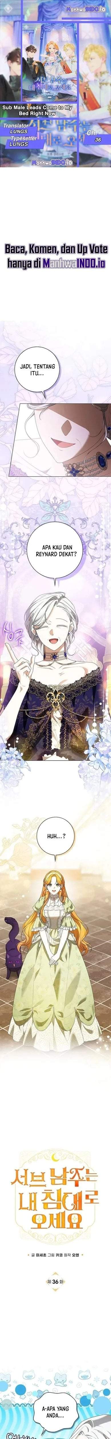 Get in My Bed, Supporting Male Leads! Chapter 36