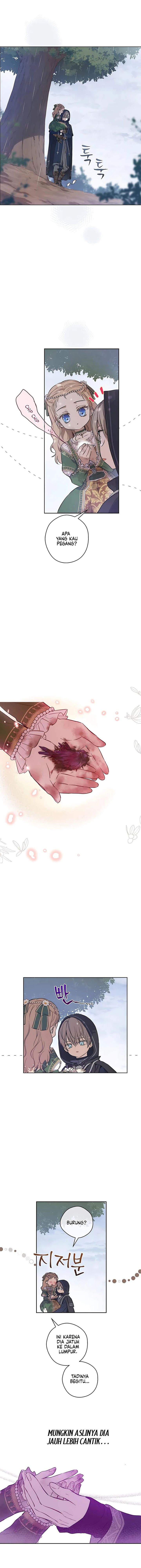 The Forgotten Field Chapter 4