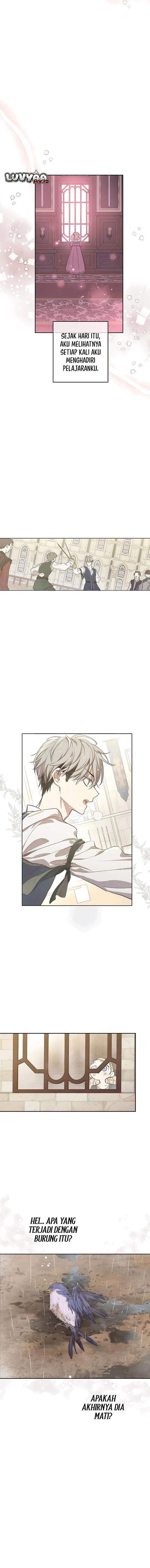 The Forgotten Field Chapter 5