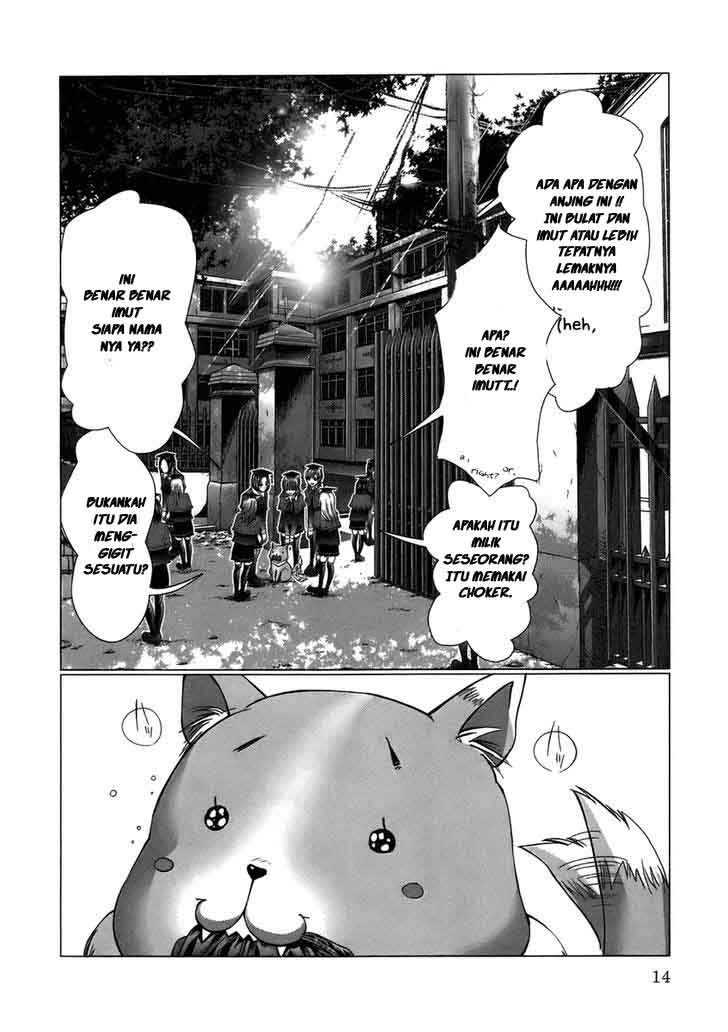 Holy Knight Chapter 1