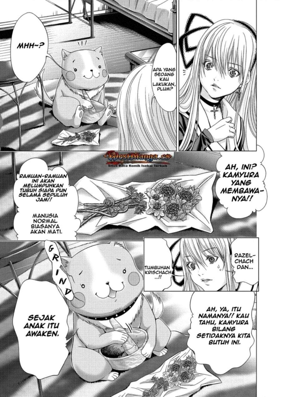 Holy Knight Chapter 12