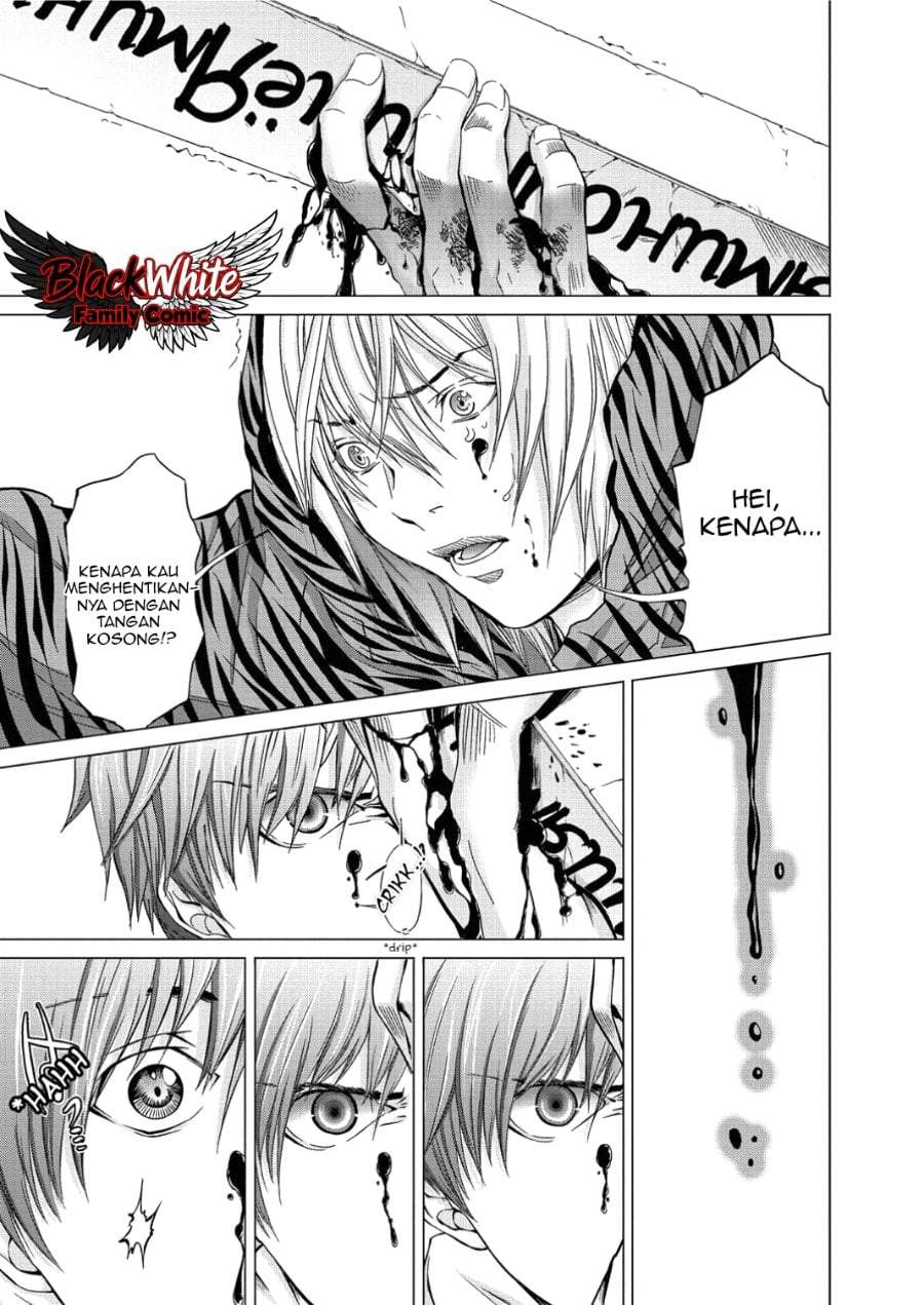 Holy Knight Chapter 14