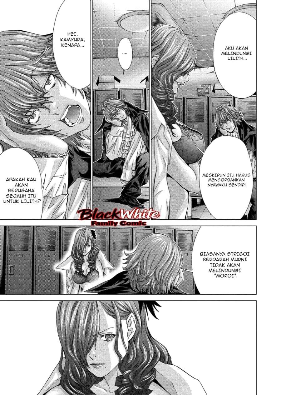 Holy Knight Chapter 16