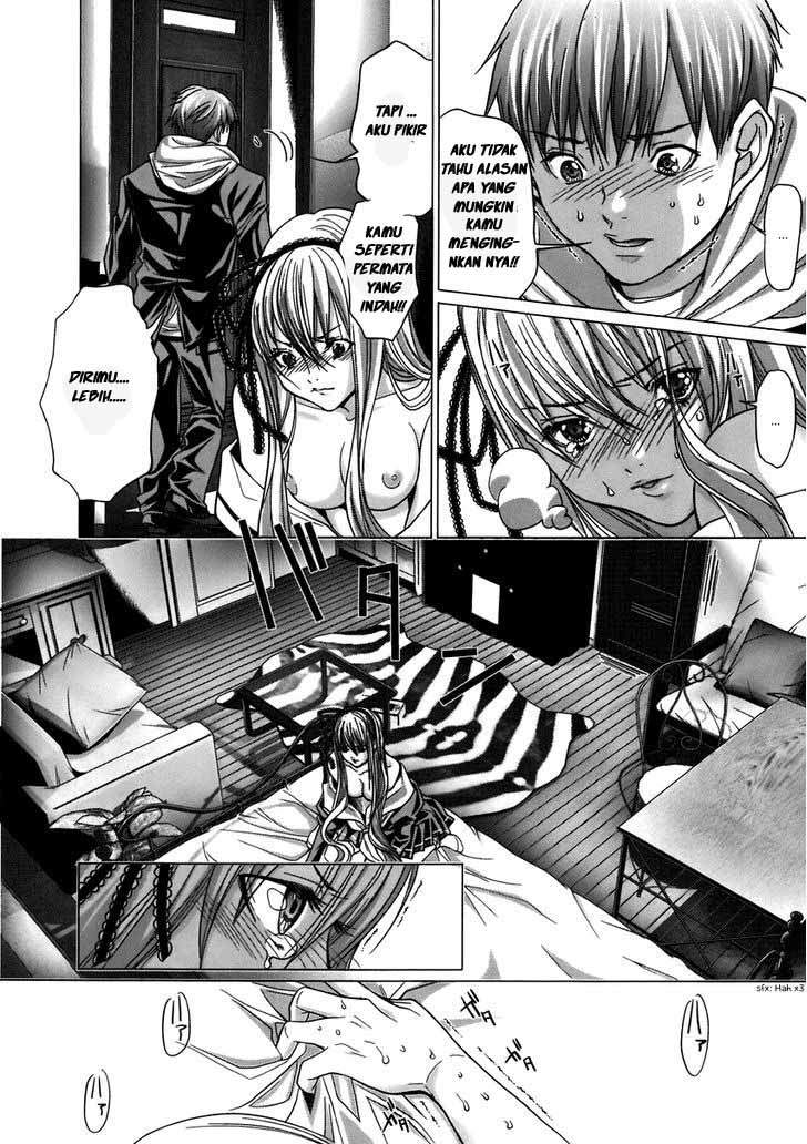 Holy Knight Chapter 5
