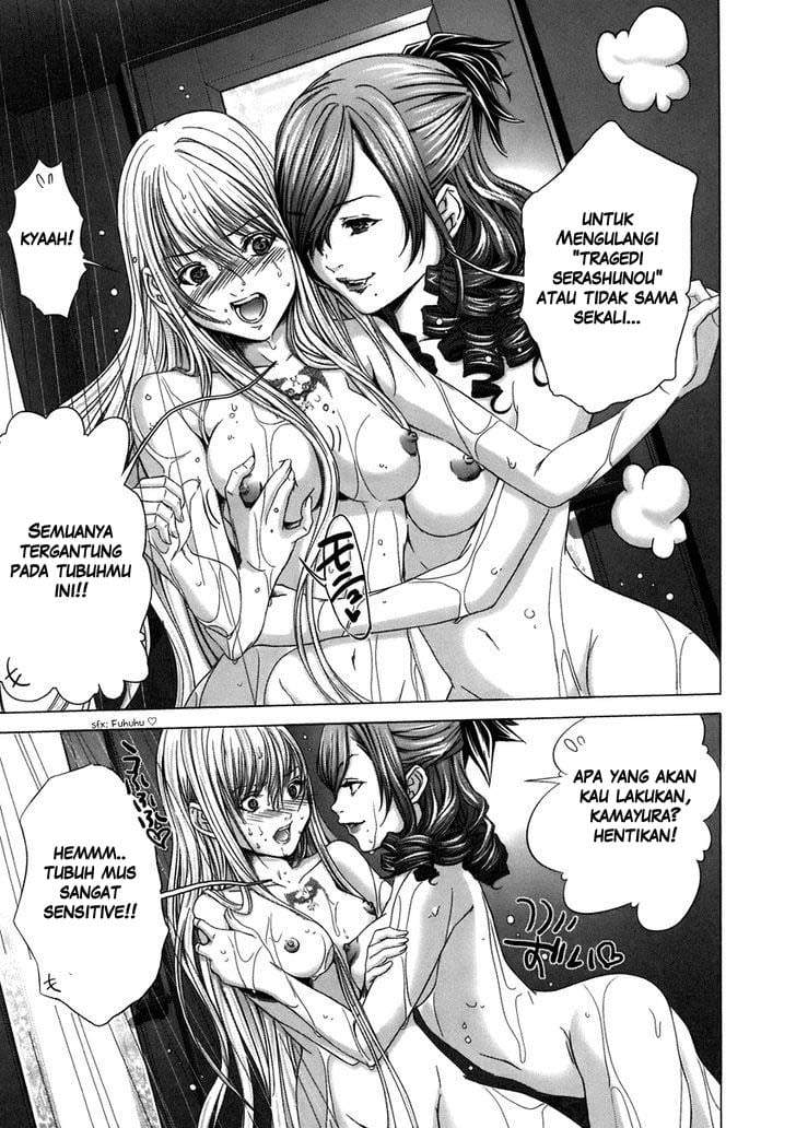 Holy Knight Chapter 8