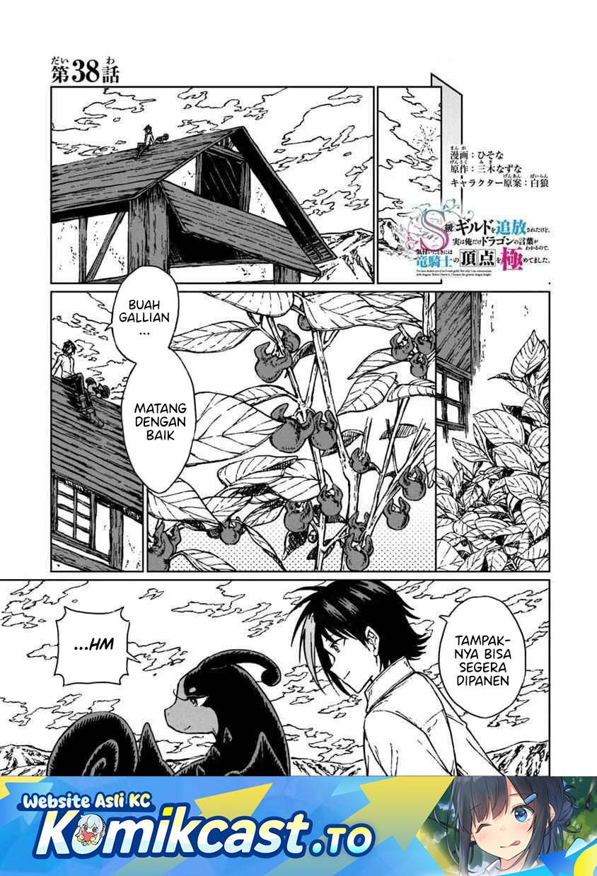 S-kyuu Guild wo Tsuihou saretakedo, Jitsu wa Ore dake Dragon no Kotoba ga Wakaru no de, Kidzuita Toki ni wa Ryuu Kishi no Chouten wo Kiwametemashita Chapter 38