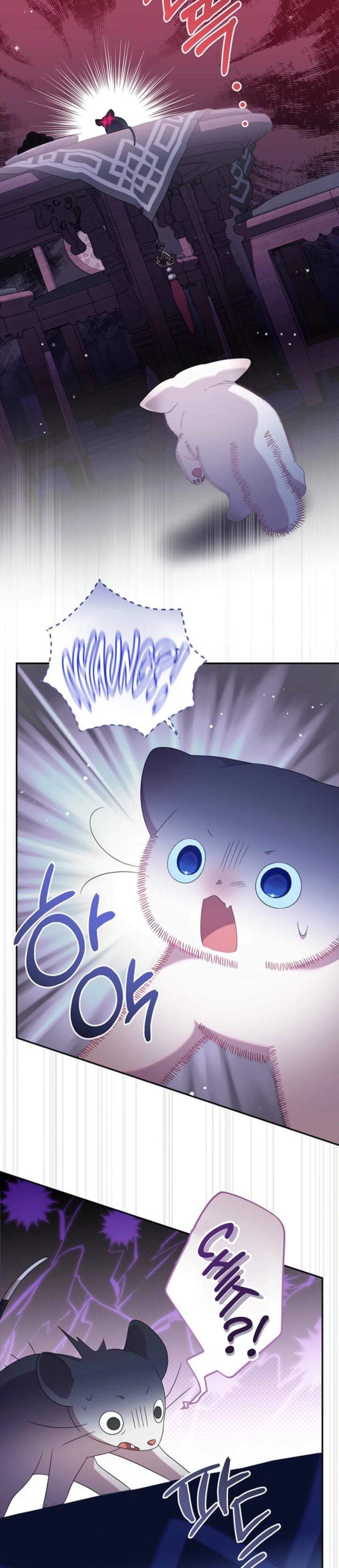 A Baby Cat Who Commands the Dog Clan Chapter 14