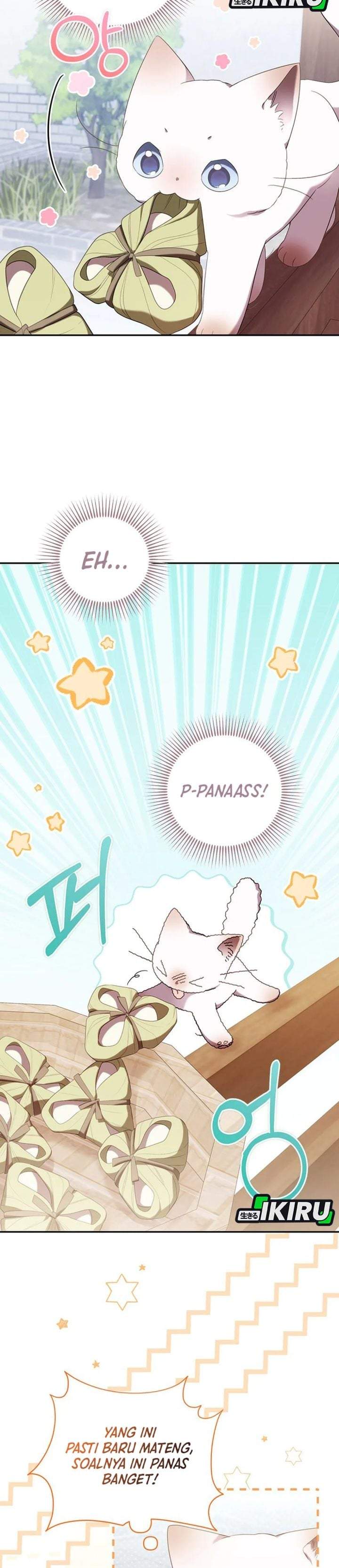 A Baby Cat Who Commands the Dog Clan Chapter 22