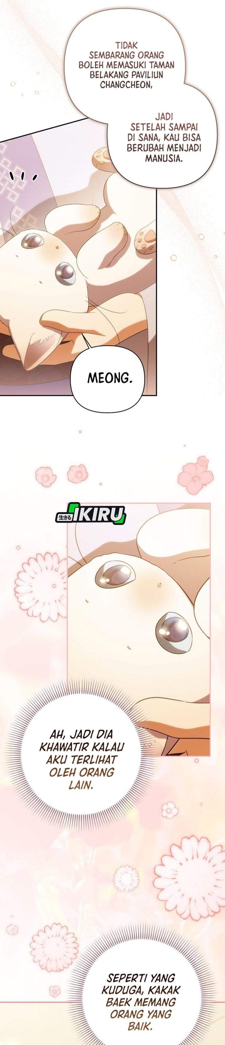 A Baby Cat Who Commands the Dog Clan Chapter 23