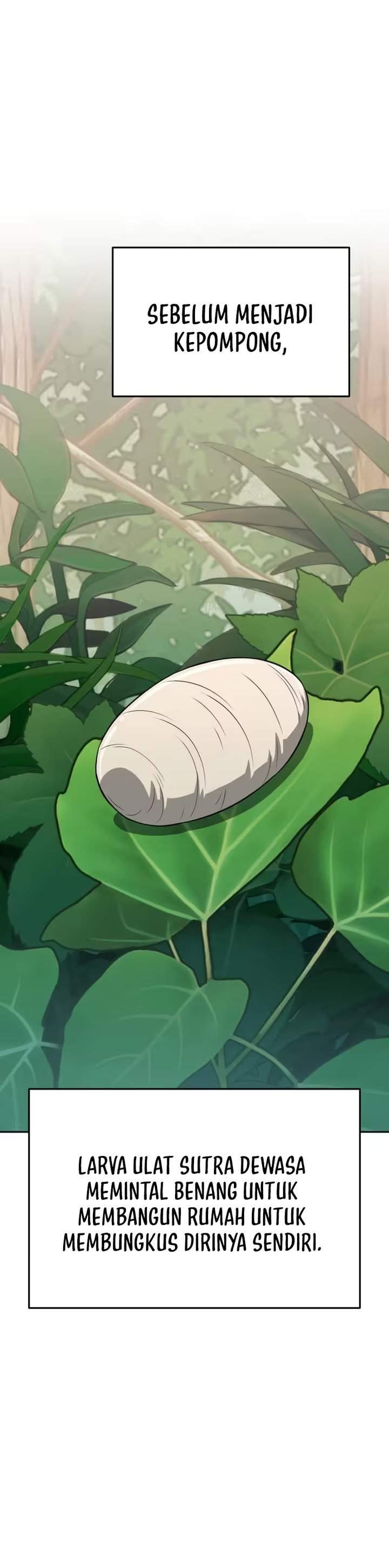 Entomologist in Sichuan Tang Clan Chapter 80