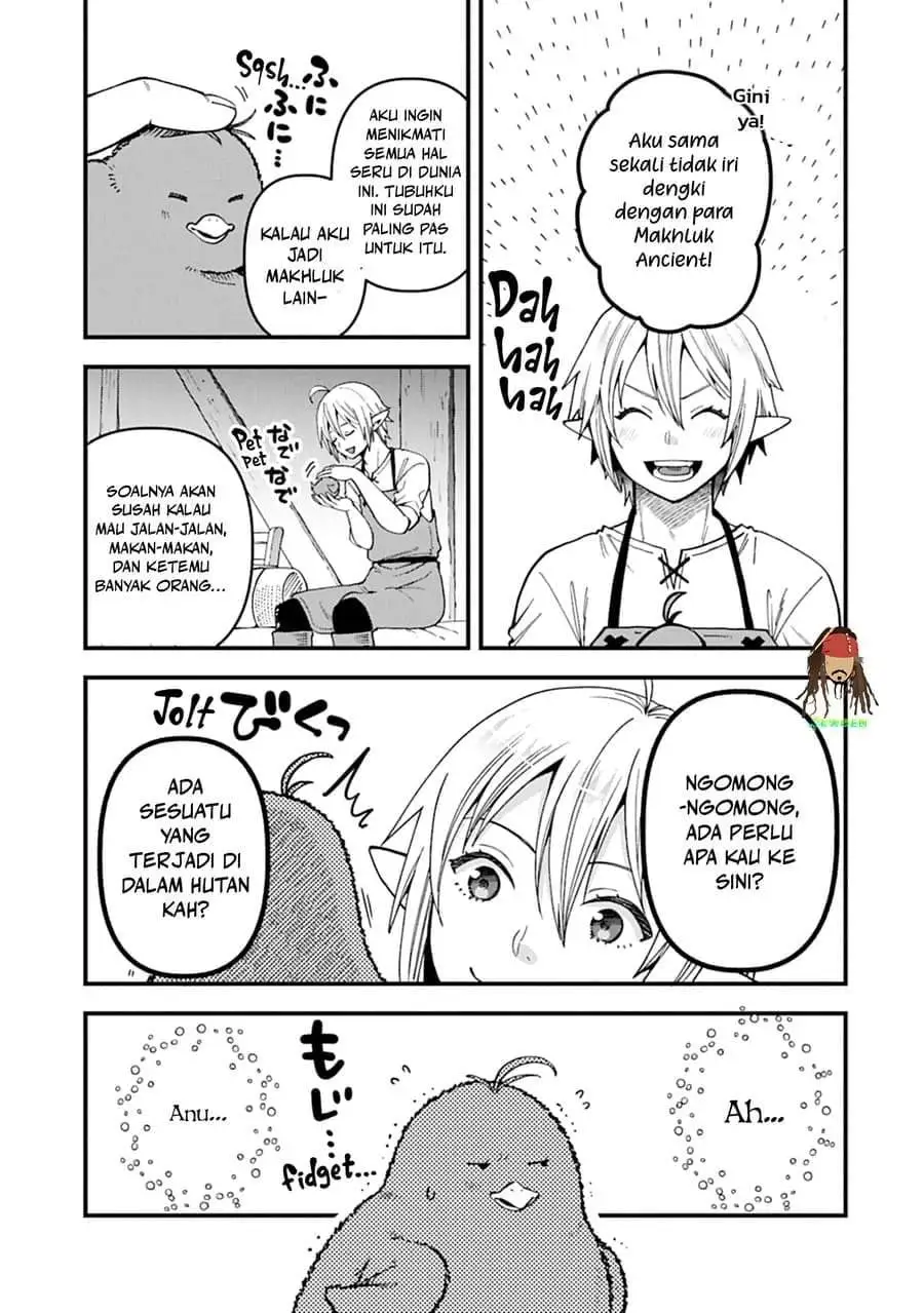 Tensei Shite High Elf ni Narimashitaga, Slow Life wa 120-nen de Akimashita Chapter 51